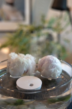 Logo trade advertising product photo of: Breevia RCS rplasic re-chargeable floating humidifier